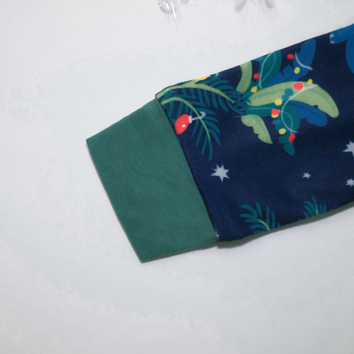 Pijamas de Natal de Dinossauros para Toda Familia